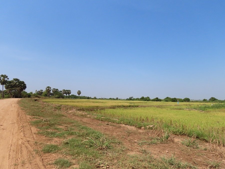 Phnom Penh Countryside Cycling Tour: Authentic Mekong River Bike Adventure